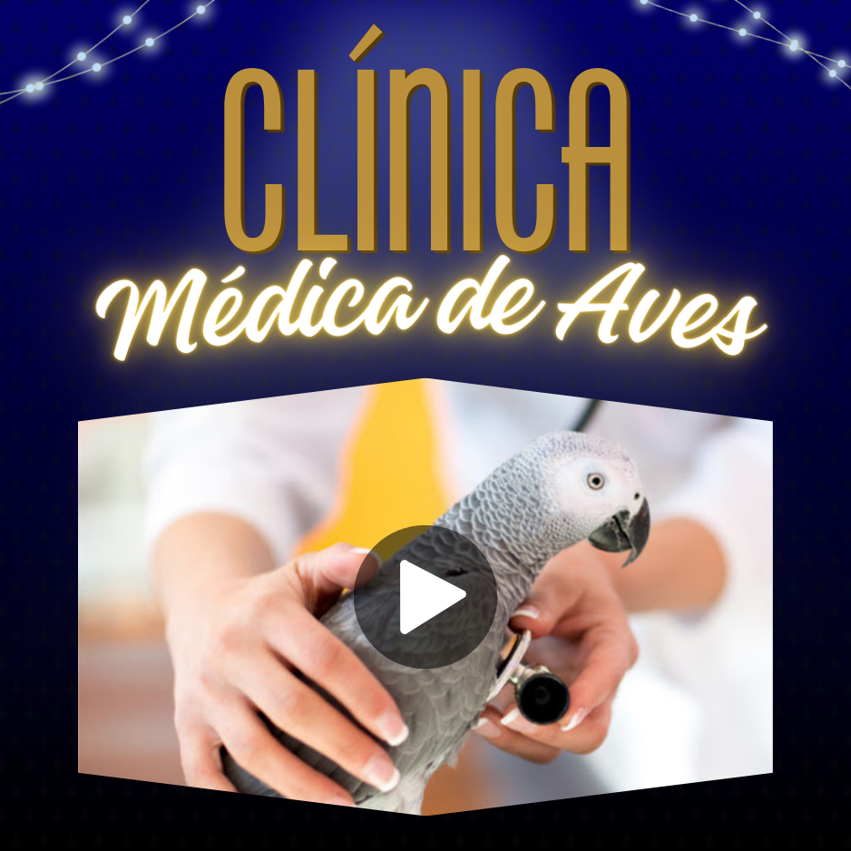 Capa de Curso Clínica de Psitacídeos