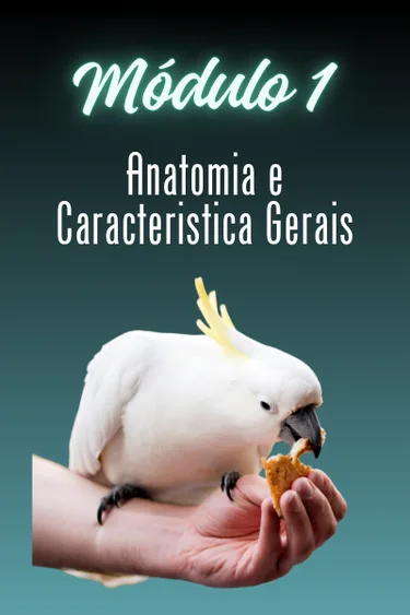 Capa do módulo 1 — ANATOMIA E CARACTERÍSTICAS GERAIS