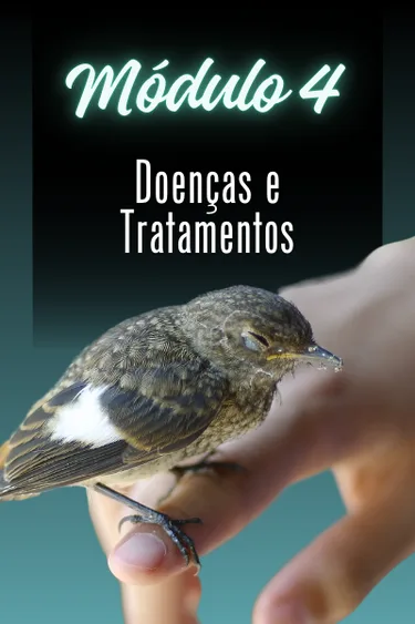 Capa do módulo 4 — DOENÇAS E TRATAMENTOS