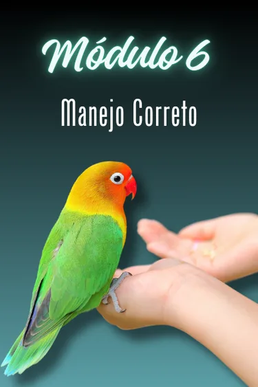 Capa do módulo 6 — MANEJO CORRETO