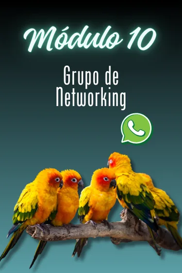 Capa do módulo 10 — GRUPO NO WHATSAPP
