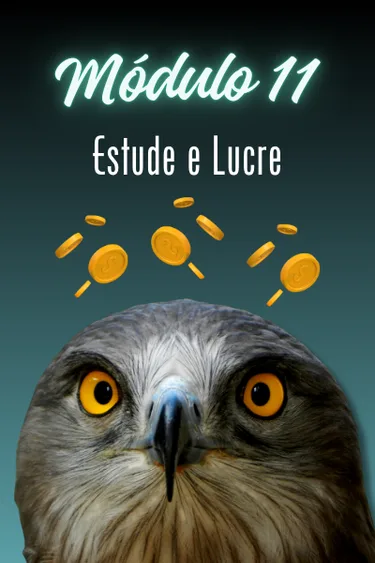 Capa do módulo 11 — LUCRE COM ESSE CURSO